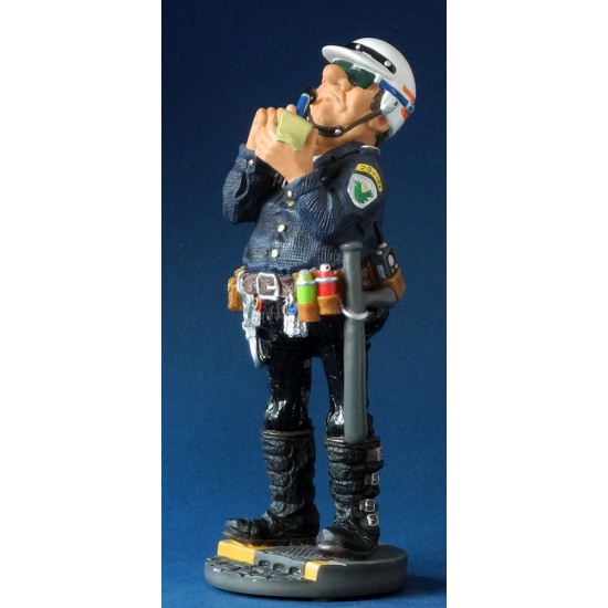 pro-33-100-dpi-website