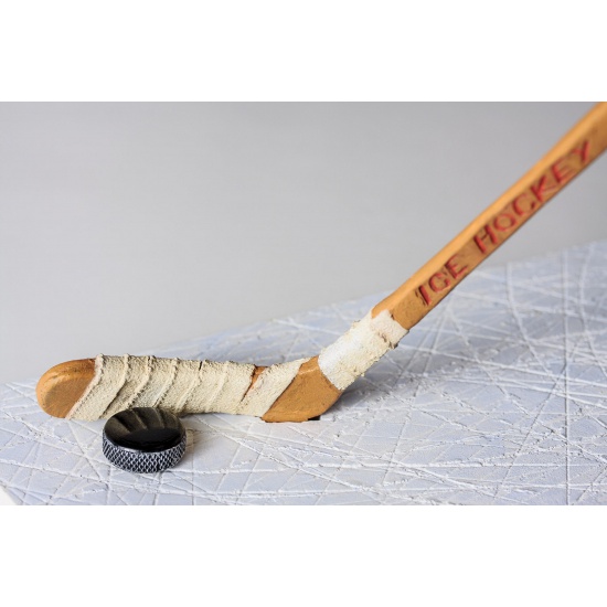 the-ice-hockey-player-9